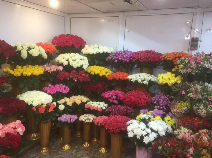Цветы оптом и в розницу в зао адреса, оптом голландия