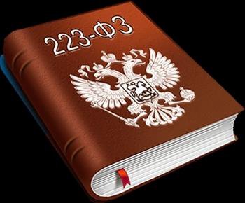 223 фз. 223 ФЗ картинки. Логотип 223-ФЗ. 223-ФЗ книга. 223фз книжка.