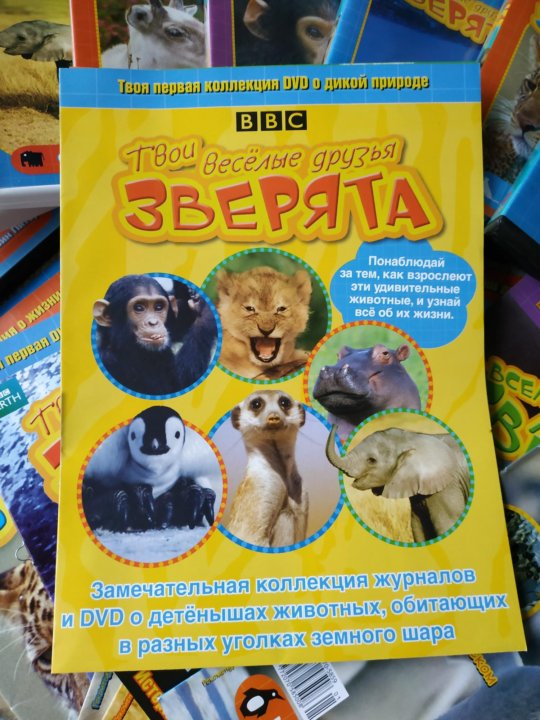 Bbc твои веселые друзья зверята. Твои веселые друзья. Диски коллекция ребятам о зверятах. Твои весёлые друзья зверята. Твои весёлые друзья зверята 31.
