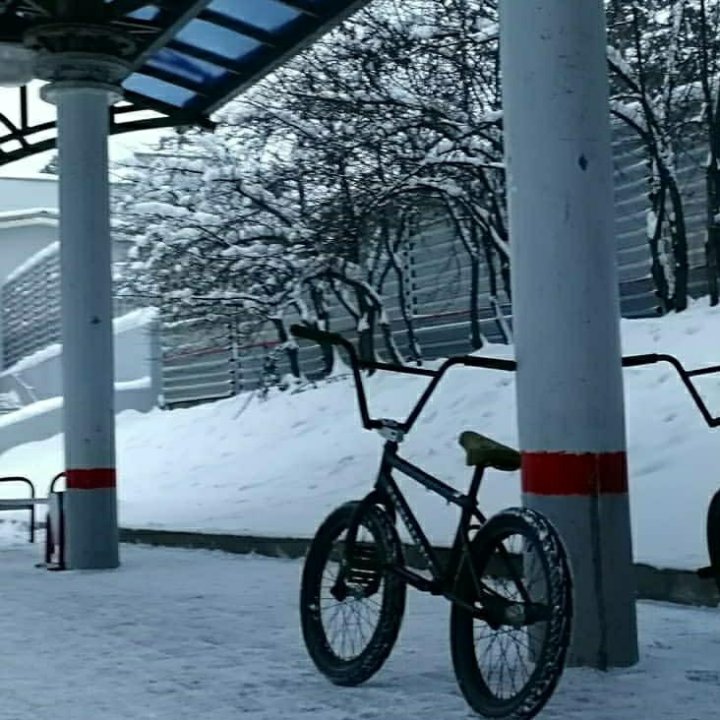 wethepeople zodiac 2017