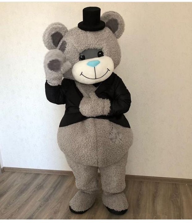Костюм тедди. Мишка Тедди костюм. Мишка Тедди большой костюм. Костюм плюшевого медведя. Костюм мишки большой.