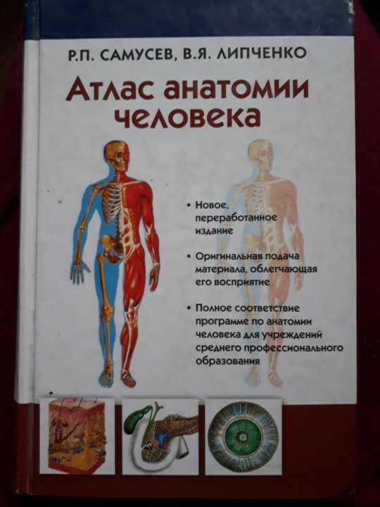 Анатомия липченко самусев. Самусев атлас анатомии. Липченко атлас анатомии человека. . Самусев, р.п., Липченко, в.я..атлас анатомии человека. Атлас анатомии человека Самусев Липченко.