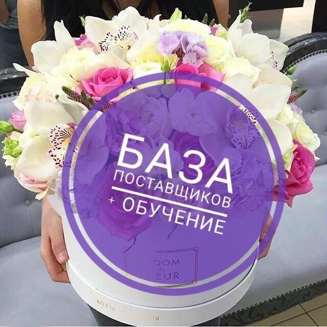 База Интернет Магазинов Одежды Купить Базу