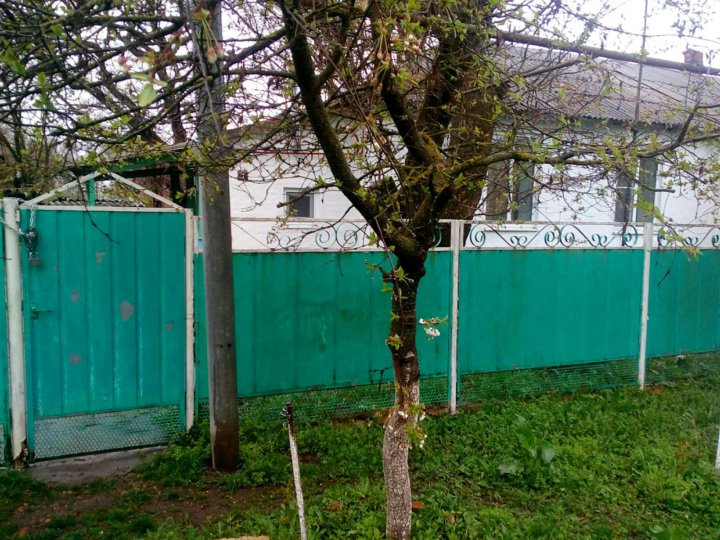 Дома в новоалександровске ставропольского