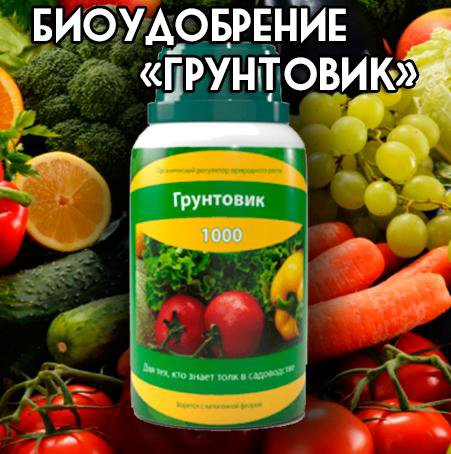 Грунтовик Интернет Магазин Промокод