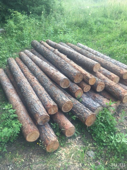 Лиственница столбы кругляк. Лиственничные столбы. Столб лиственница. Деревянный столб. Лиственничные столбы.