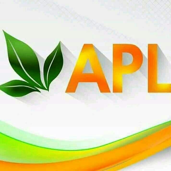 Apl перово. APL компания. Компания APLGO. Картинки APLGO. Компания APL go.