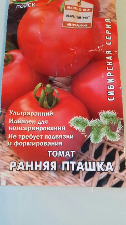 Томаты Ранние Отзывы Фото