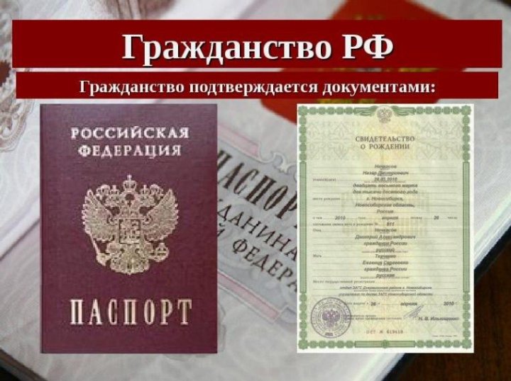 Как выглядит гражданство россии