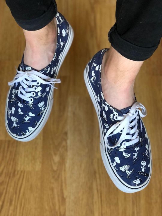 vans authentic 41