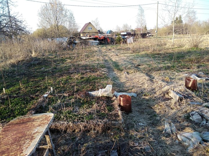 Погода лесная новгородская область. Погода деревня Лесная Новгородская область.