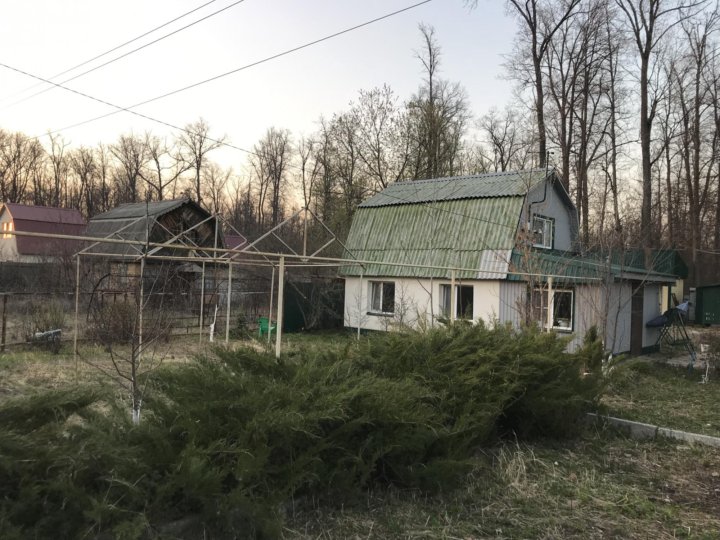 Санаторий ахуны пенза. Ахунские терема ахуны пензенская область. Дача дубрава пенза. Дача ахуны пенза. Ахуны пенза лес.