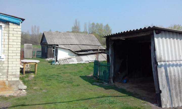 Ниновка новооскольский. Новый оскол село новая безгинка. Село новая безгинка новооскольский. Дома в новой безгинке. Село новая безгинка новооскольский.