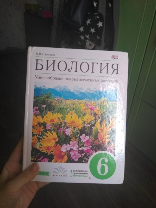 Учебник по биологии 6 класс пасечник. Биология 6 класс учебник Пасечник. Биология. 6 Класс. Учебник. Биология 6 класс учебник авторы.