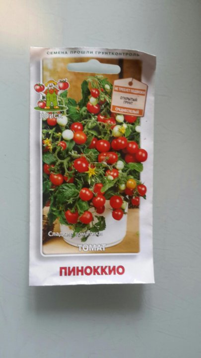 Томат Пиноккио Характеристика Фото