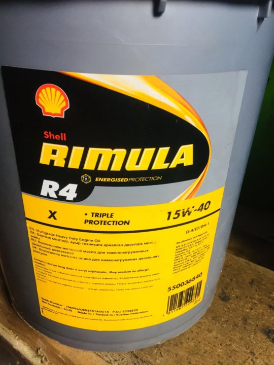 Shell rimula r4. Rimula r4.