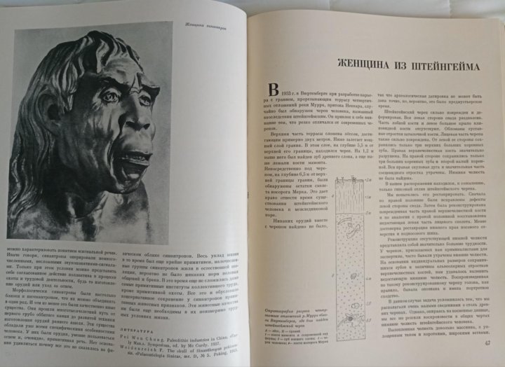 вамирэх человек каменного века. каменные человечки книга. люди каменного века. гэрли. наука 1964г.