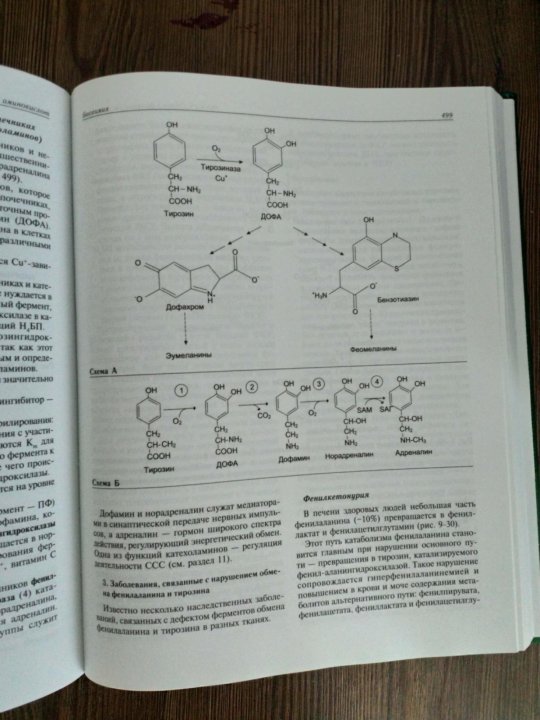 Биохимия учебник. Учебник по биохимии Северин. Северин учебник по биохимии синий. Книги по биохимии синий. Биохимия книга читать.