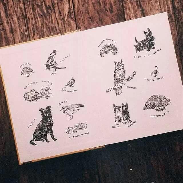всегда моя семья и другие звери картинки из книги спальне можно вместе