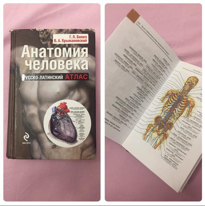 Билич крыжановский анатомия. Анатомия человека Билич Крыжановский. Атлас по анатомии Билич Крыжановский. Анатомический атлас Билич. Билич Крыжановский анатомия человека атлас 2.