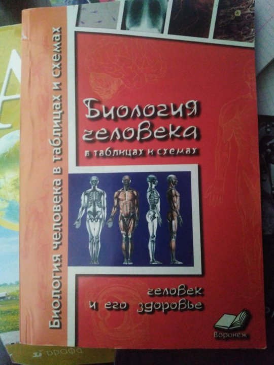 Биология человека в таблицах рисунках и схемах резанова