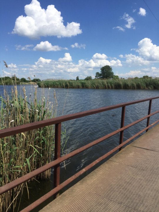 Село красносельское. С Красносельское Динской район Краснодарский край. Село Красносельское Динского района Краснодарского края. Динская река.