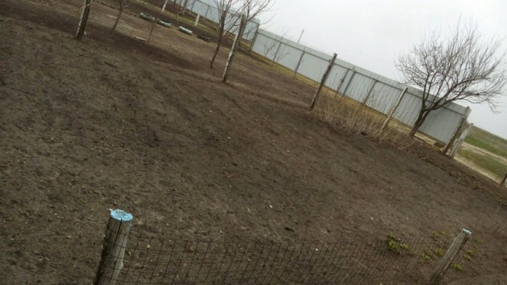 Хутор старая станица ростовская область на карте. Погода хутор верхние грачики ростовская. Верхние грачики. Хутор верхние грачики. Хутор верхние грачики.