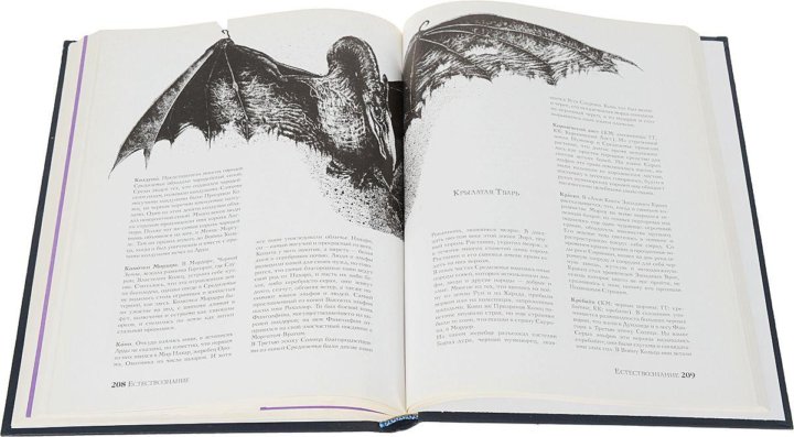 властелин колец джон толкин. толкиен властелин колец книга. энциклопедия. джон толкиен книги. энциклопедия толкина.