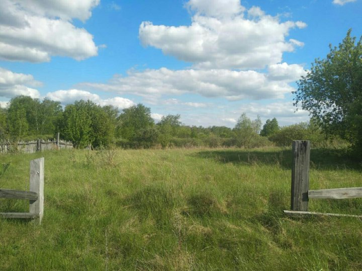 23 участок. Поселок Рассказиха. Санаторий Ласточка СССР Алтайский край село Рассказиха. Кластер Рассказиха Бородино.