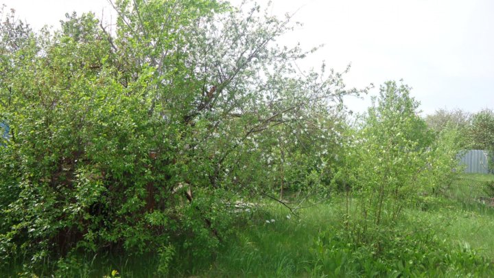 Снт гагаринское. Севастополь, СНТ Рыбак 4. ТСН СНТ Рыбак 4а, 11в. ТСН СНТ Рыбак 5. Земельные участки Гагаринский район Саратов.