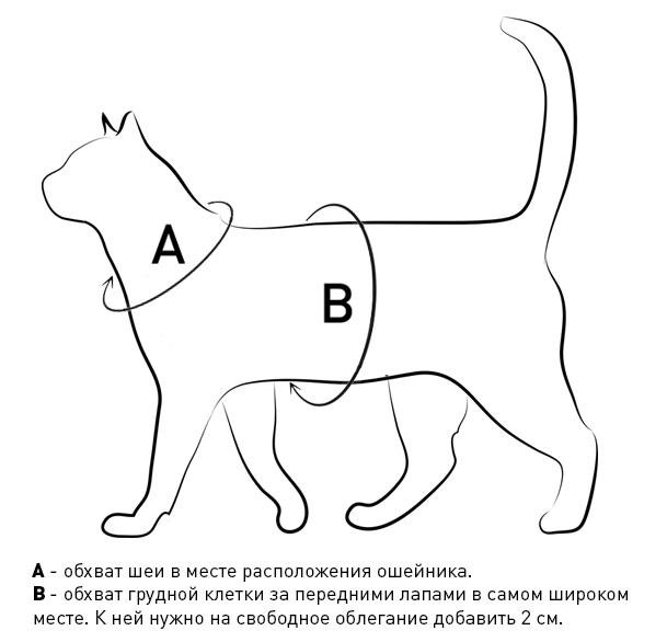 Как одевать коту шлейку схема