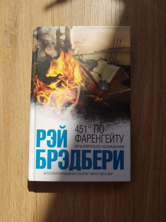 451 градус по фаренгейту картинки из книги