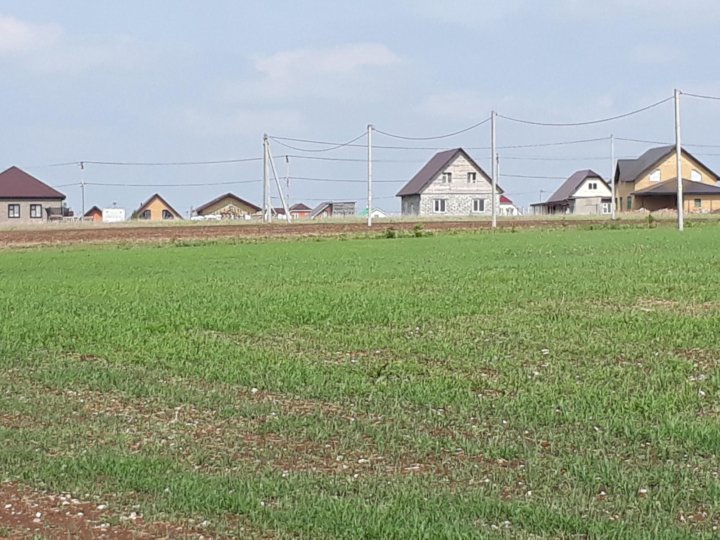 Балтаси сатам. Посёлок городского типа Балтаси. Колхоз сурнай Балтасинского района. ООО сурнай Балтасинский район Татарстан. Алиша 53 Балтаси Балтасинский район.