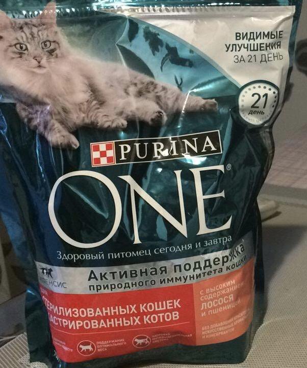 N d для стерилизованных кошек. Purina one для стерилизованных кошек. Сухой корм для кошек Пурина one для стерилизованных. Пурина она для стерилизованных кошек. Корм Пурина кит кат для стерилизованных кошек.