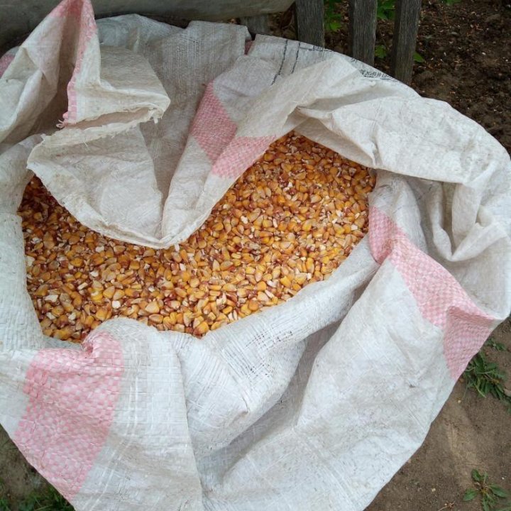 Фото кукуруза в мешках