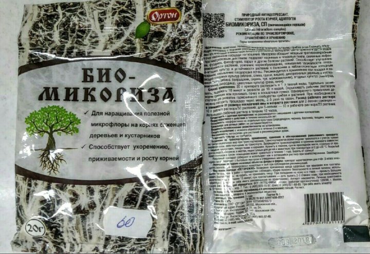 Микориза фото упаковки