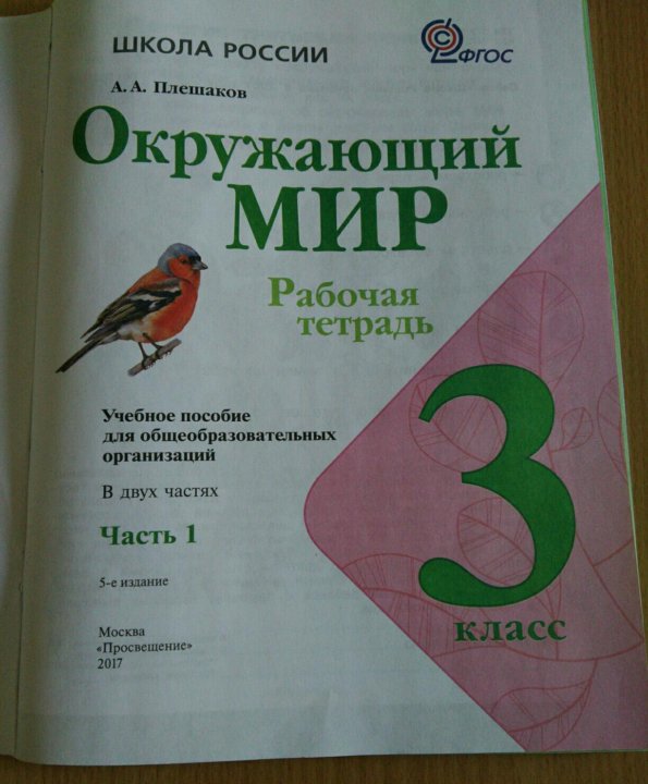 Окружающий мир 3 класс стр 11 рт. Окружающий мир 3 класс стр 11 рт. Окружающий мир 1 класс рабочая тетрадь плешакова. Окружающий рабочая тетрадь. Окружающий мир 3 класс рабочая тетрадь.