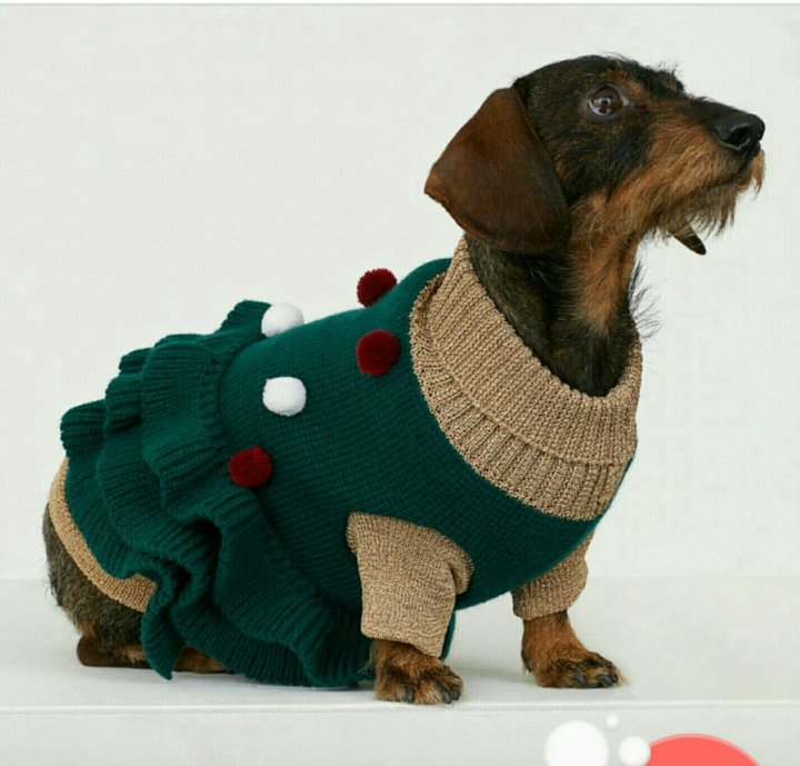 Вязаные свитера для собак