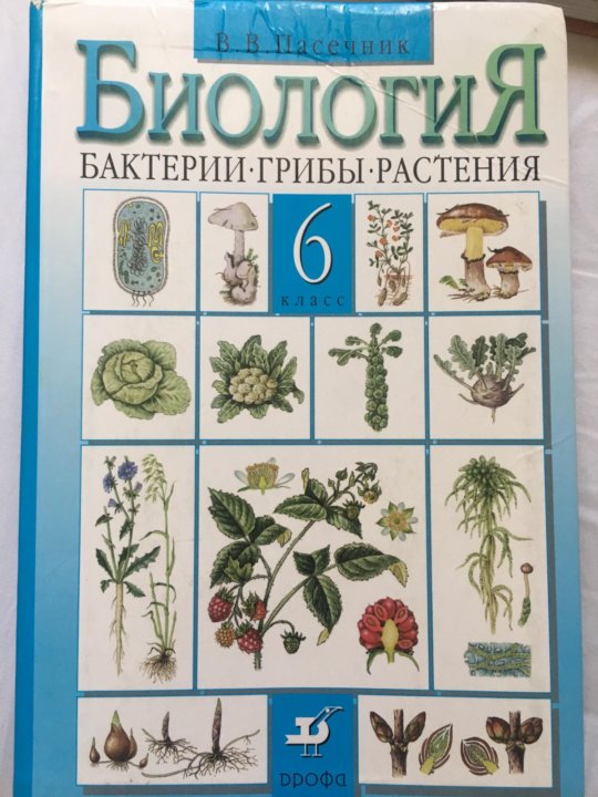 С какого класса биология. Биология 6 класс бактерии грибы растения. Биология 6 класс. Бактерии, грибы, растения. Пасечник. Растения 6 класс Пасечник. Пасечник ботаника 6 класс.