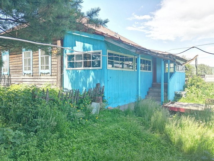 Погода в красногорском алтайского края. Село Новозыково Алтайский край. Село Новозыково Красногорский район. С Новозыково Красногорского района Алтайского края. Село Заречное Алтайский край.