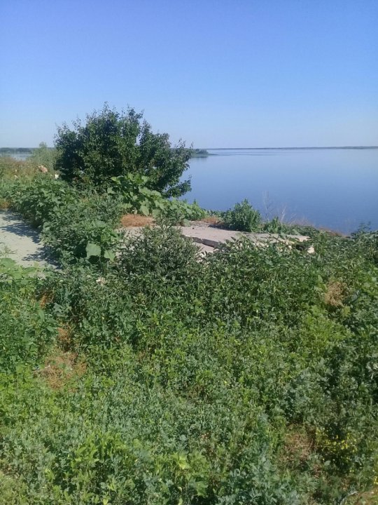 Погода усовка. Участок в Усовке.