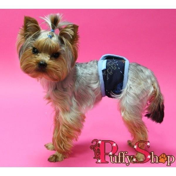 Йоркширский терьер стандарт собачка. Йорк метит в квартире что делать. Йорк и кот в одной квартире. Йоркширский терьер линька. Йорки метят.