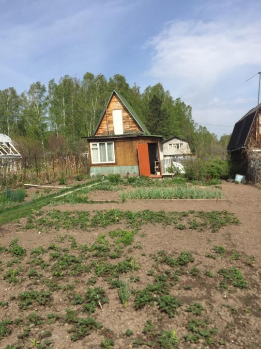 Снт золотая горка новосибирск. Золотая горка Новосибирск. СНТ Золотая горка. Дача на золотой Горке. Недвижимость дачи на золотой Горке.