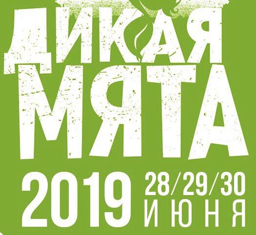фестиваль дикая мята. дикая мята 2023 тула. дикая мята билеты. фестиваль дикая мята. фестиваль мята 2023.