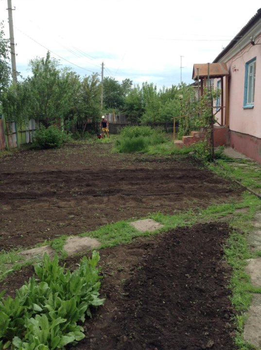 Погода в заветы ильича энгельсский