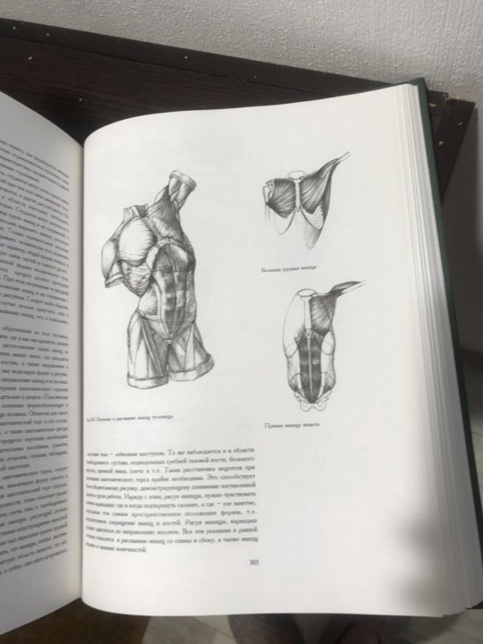 Николай ли основы учебного академического рисунка pdf