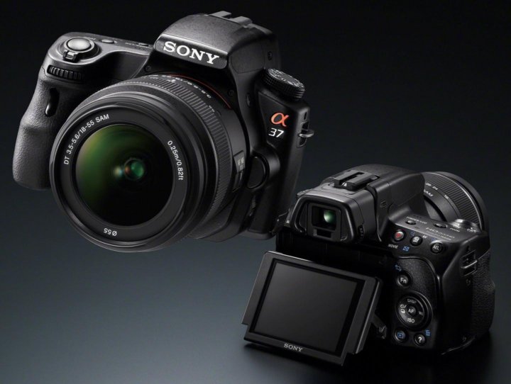 Sony a37 примеры фото Неактивно