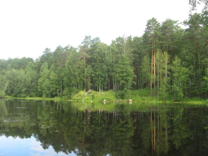 Поселок палкинский торфяник екатеринбург фото