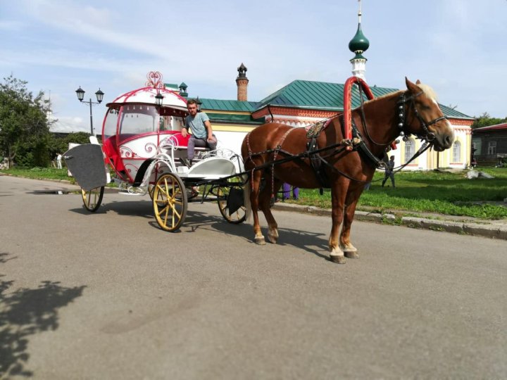 суздаль лошади. суздаль лошади. катание на лошадях суздаль. суздаль кареты. кск самохвалово владимир.