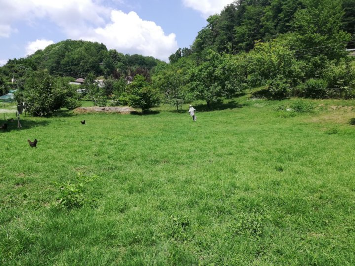 Село илларионовка сочи карта